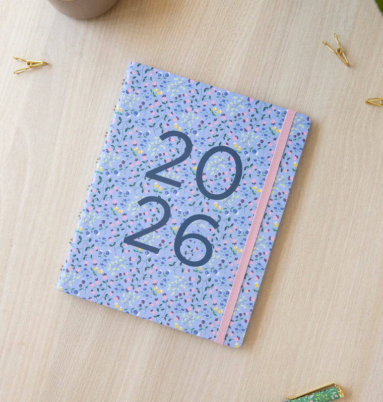 26-68300, Planner A5 Meadow Sky 2026